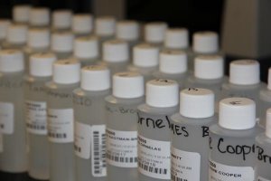 Photo of water samples in bottles