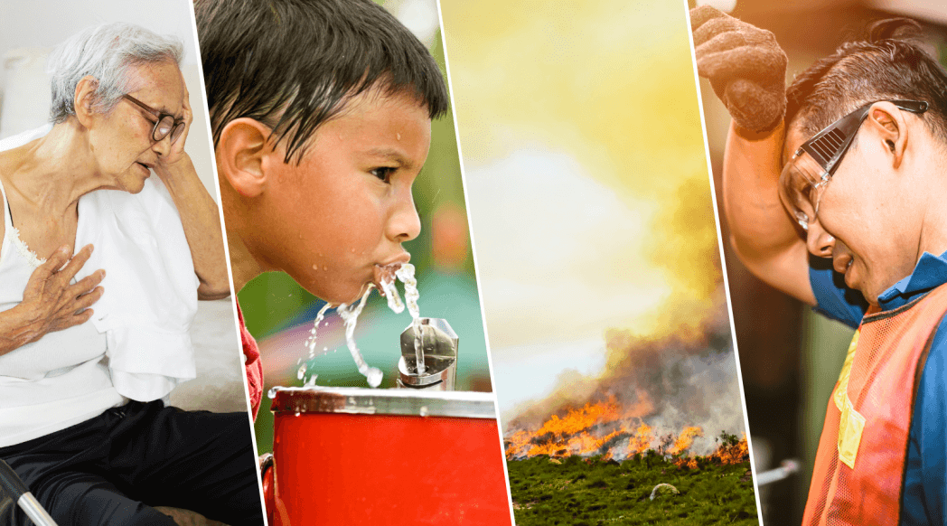 4 images side-by-side. and elderly woman overheated in her home, a little boy sweating while drinking from a water fountain, a scene from an Oregon wildfire, a man wiping sweat off his brow.