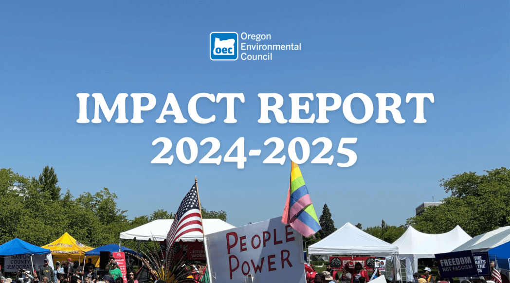 OEC impact report 20245 - 2025