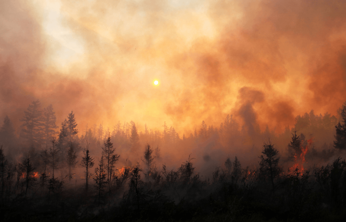 wildfire smoke with sun shining through in oregon mountains