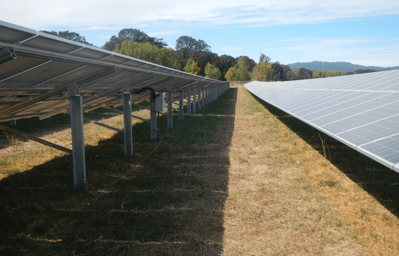 Solar Panels in use at OSU's agrivoltaics research farm