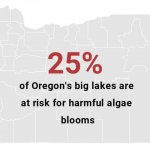 25% of Oregon